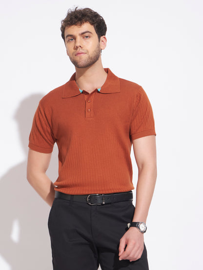 AEDENBURG Men Brown Knitted Cotton Blend T-Shirt