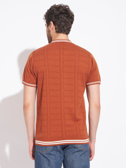 AEDENBURG Men Basket-Weave Rib Panel Stripe Polo Regular Fit Cotton Blend T-Shirt
